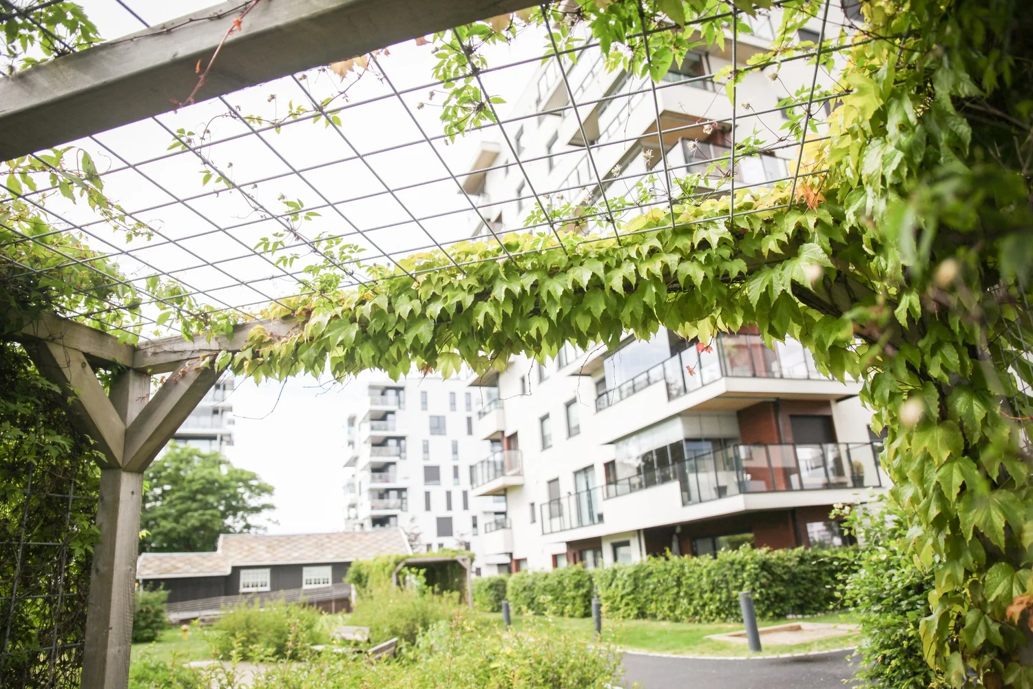 Rosenvinge park — in situ AS