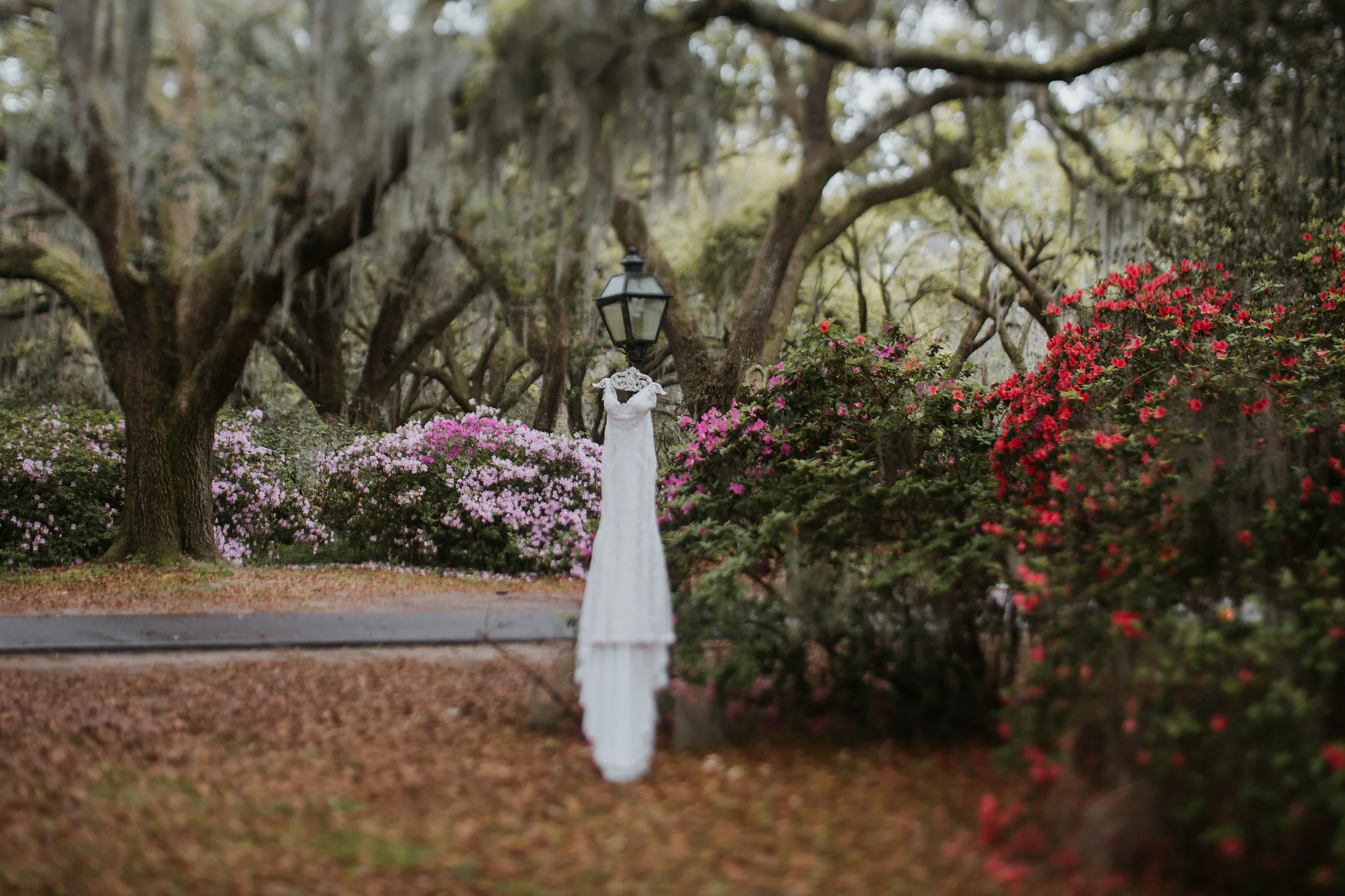 Legare-Waring-House-Charleston-SC-wedding-portrait-photography-22.jpg