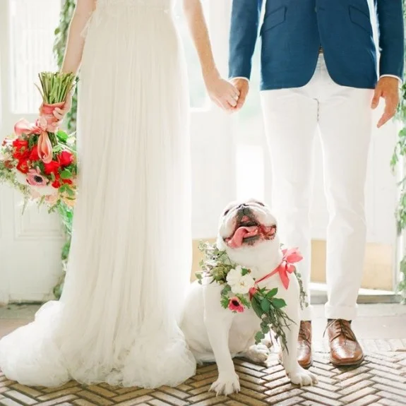 Charleston, Hilton Head, Myrtle Beach, Savannah Weddings