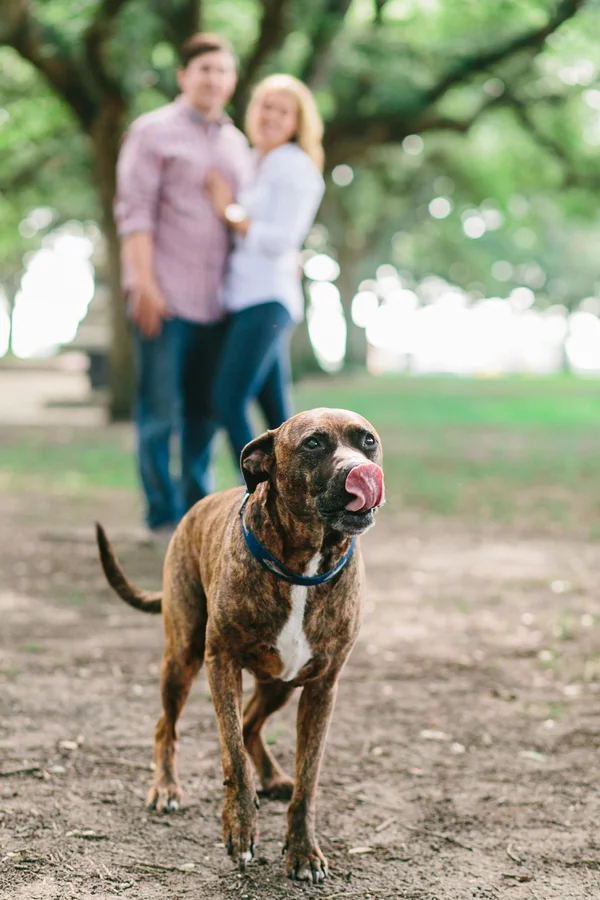 Charleston Wedding Photographer