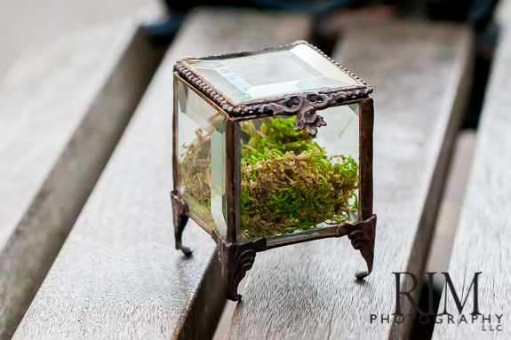 The Westin Savannah Wedding by RIM Photography