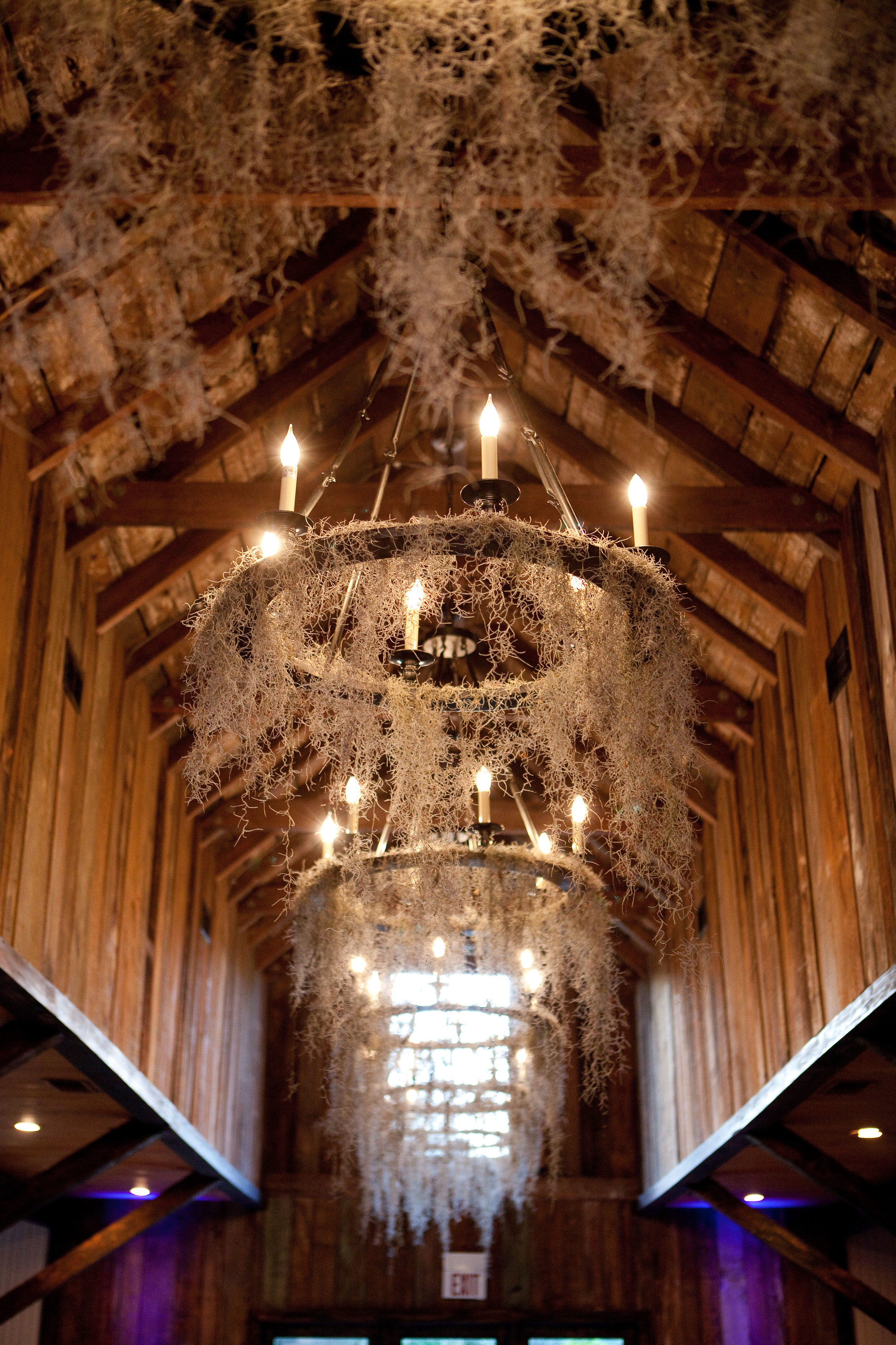 Charleston Weddings