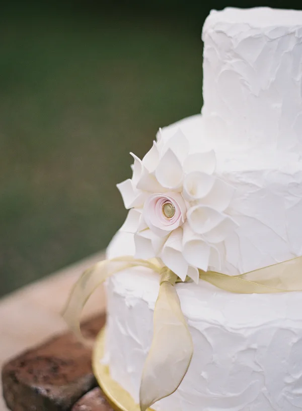 Amelia Claire's Cake