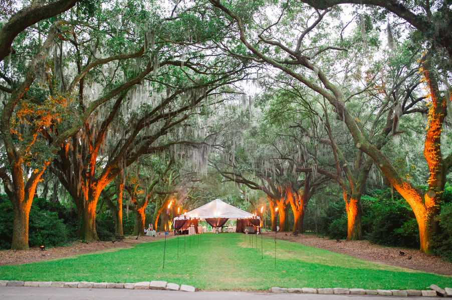 Southern Plantation wedding