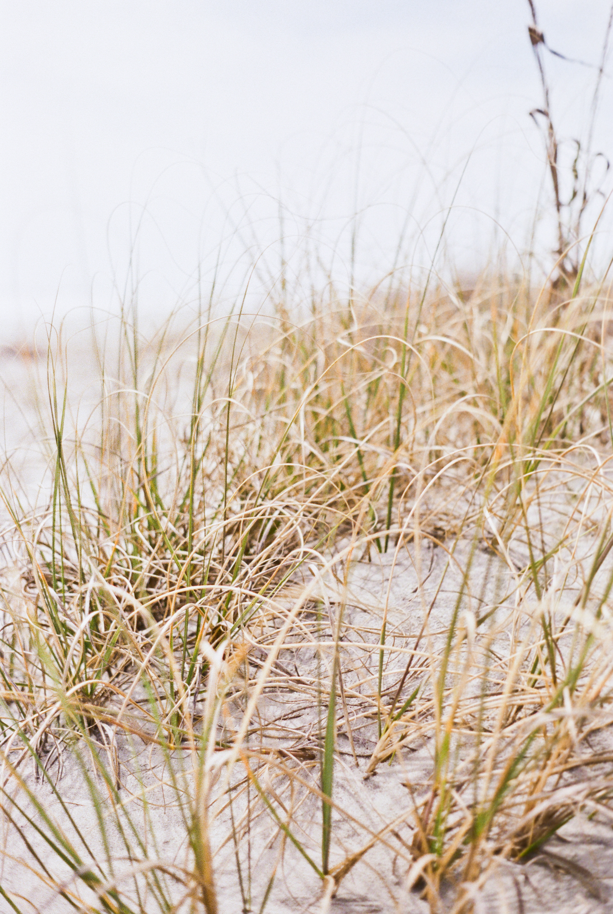 Hannah & John's Isle of Palms Engagement