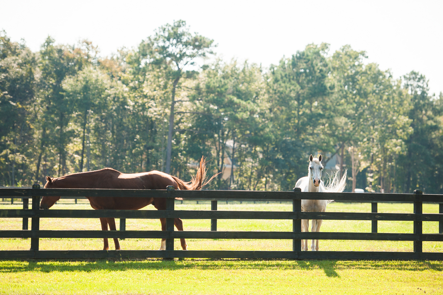 Pepper Plantation wedding