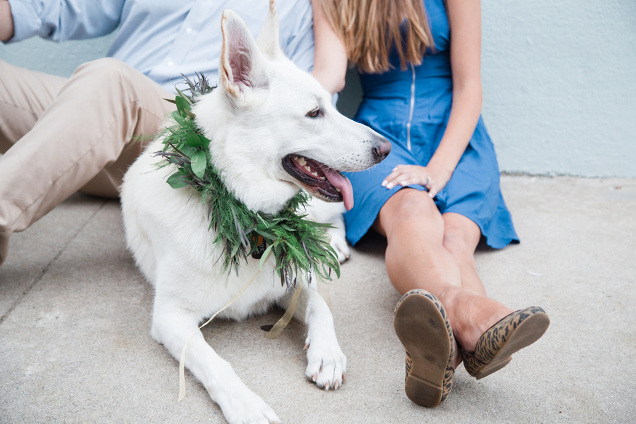 Engagement Session with White German Shepherd