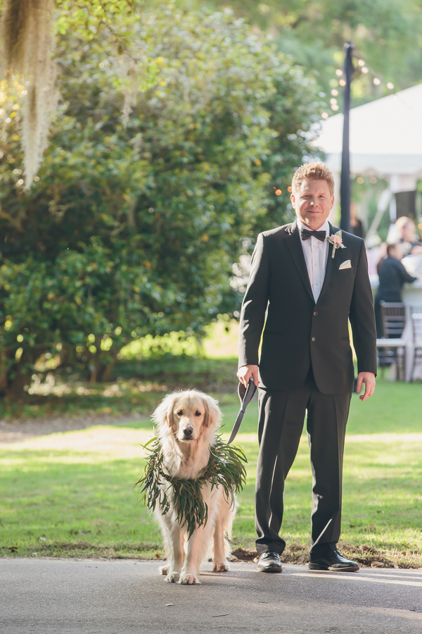 Wedding ceremony dog