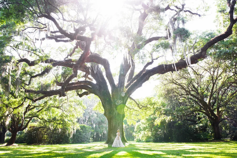 Lauren  //  Legare Waring House Bridal Portraits