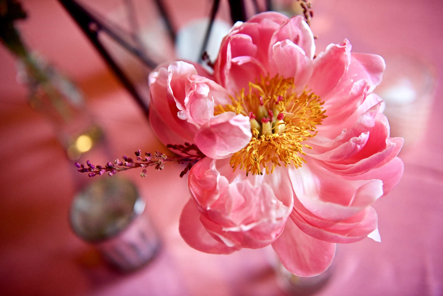 Pink Peonies at Aqua + Pink Old Wide Awake Plantation wedding