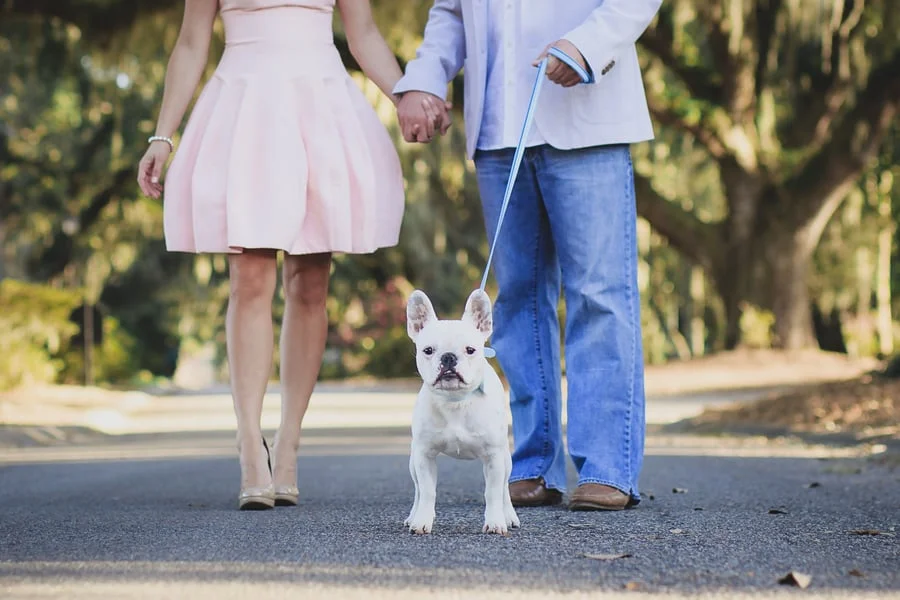 Myrtle Beach Wedding Engagement at Heritage Plantation