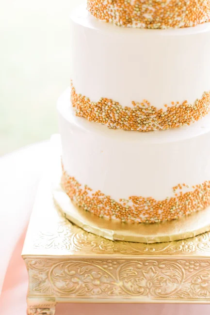 Edisto Island, South Carolina wedding at Middleton Plantation by Jessi Nichols Photography