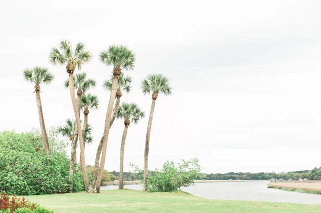 Middleton Plantation wedding on Edisto Island, South Carolina by Jessi Nichols Photography