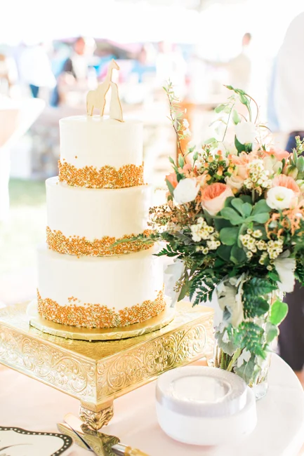 Middleton Plantation wedding on Edisto Island, South Carolina by Jessi Nichols Photography