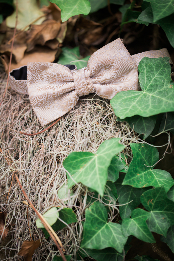 Charleston wedding bow tie