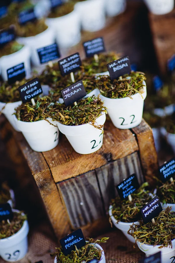 Potted plant escort cards