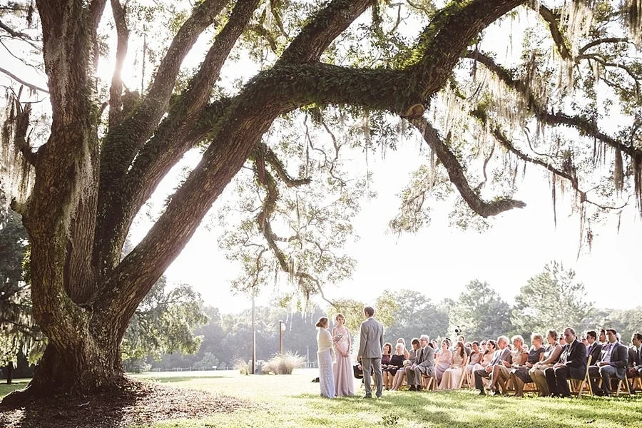 Honey Horn Plantation wedding