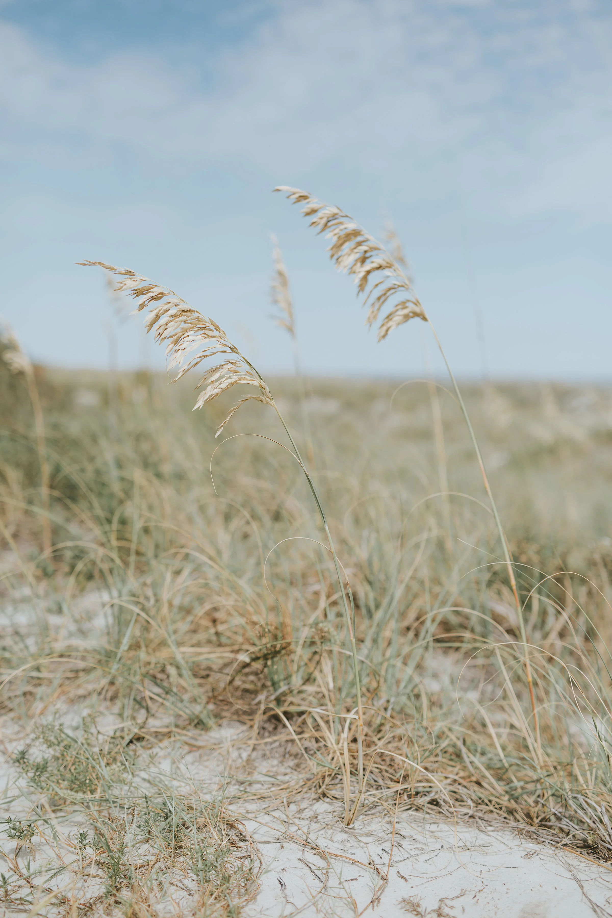 omni-hilton-head-wedding-35.jpg