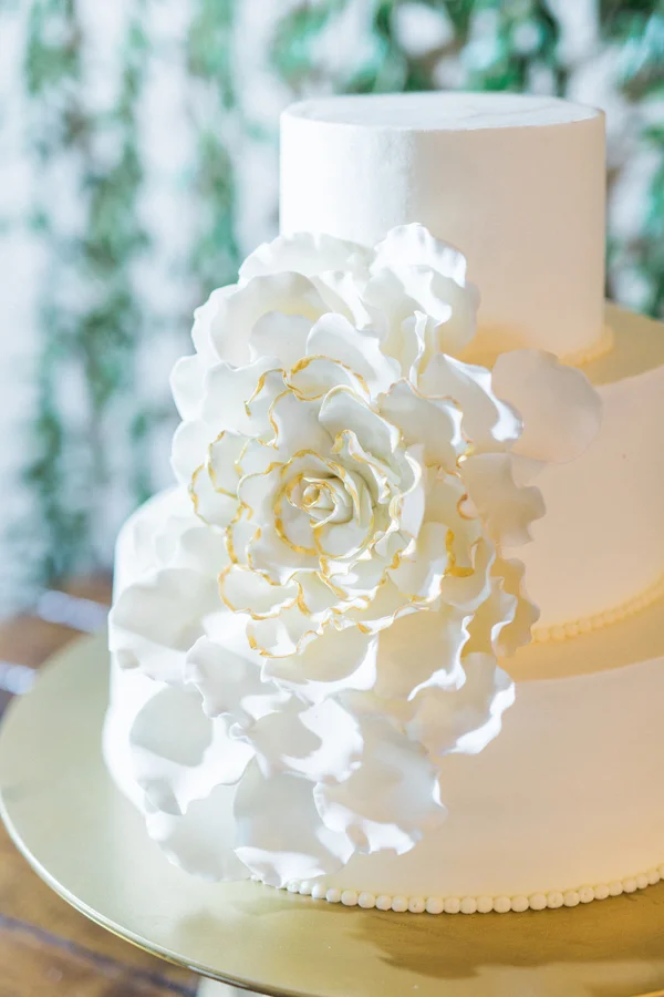 magnolia-plantation-wedding-34.jpg