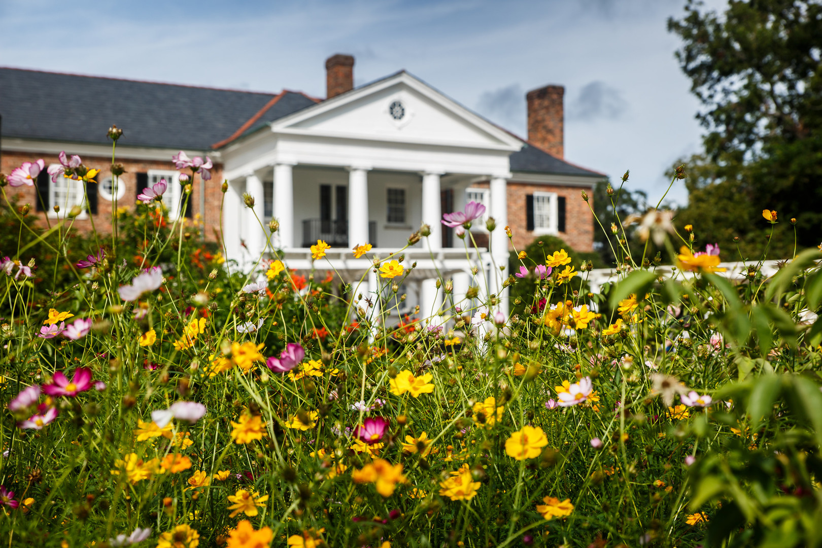 boone-hall-plantation-wedding-4.jpg