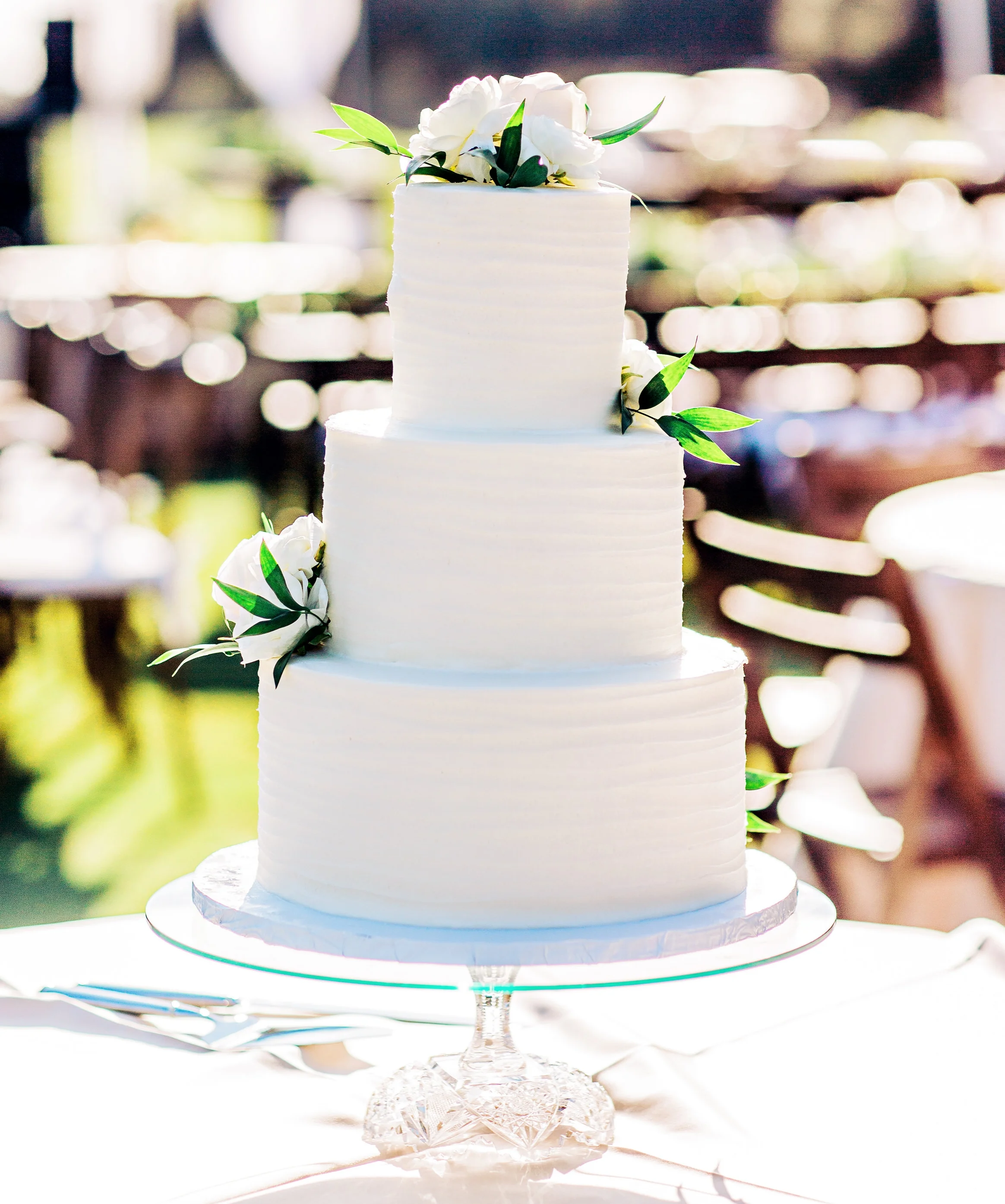 De-Boardieu-wedding-photos,CorinaSilvaStudios-36.jpg