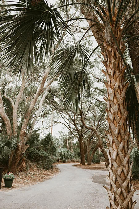 kiawah-mingo-point-wedding-3.jpg