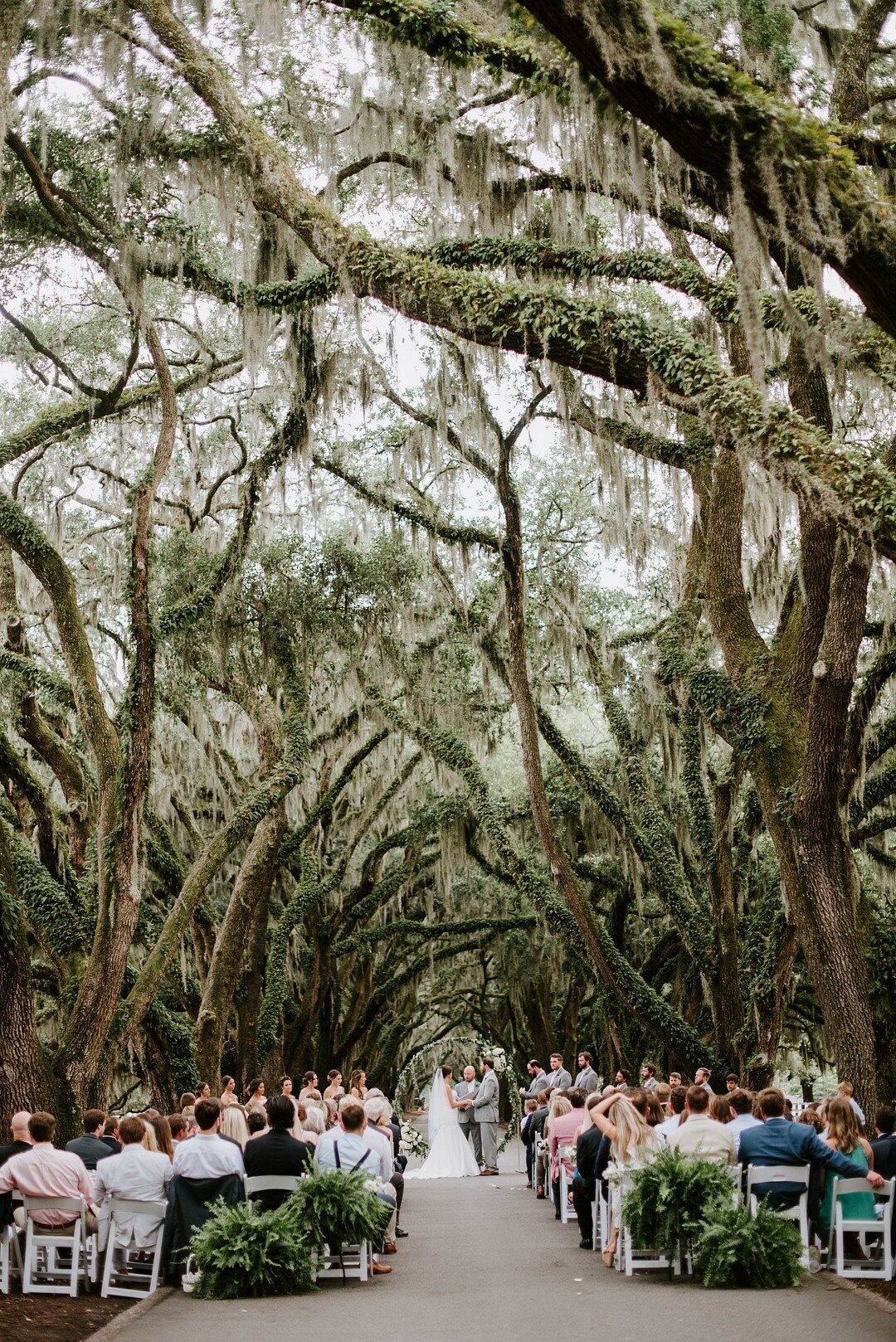 belfair-plantation-wedding-12.jpg