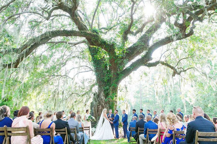 carriage-house-wedding-magnolia-plantation-10130.jpg