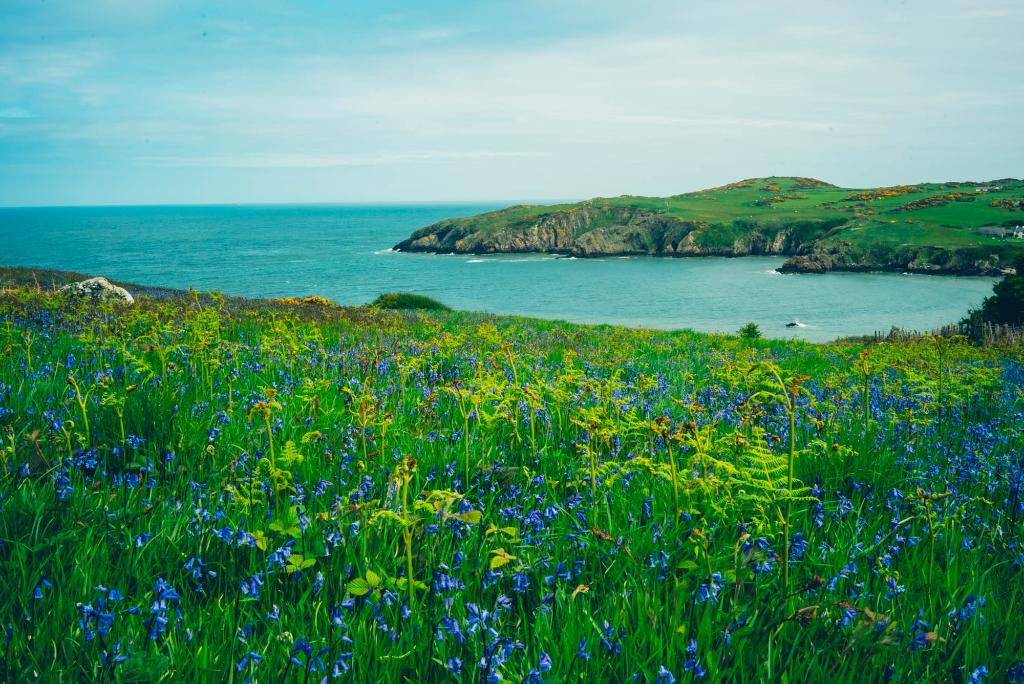 North Wales Tourism Film