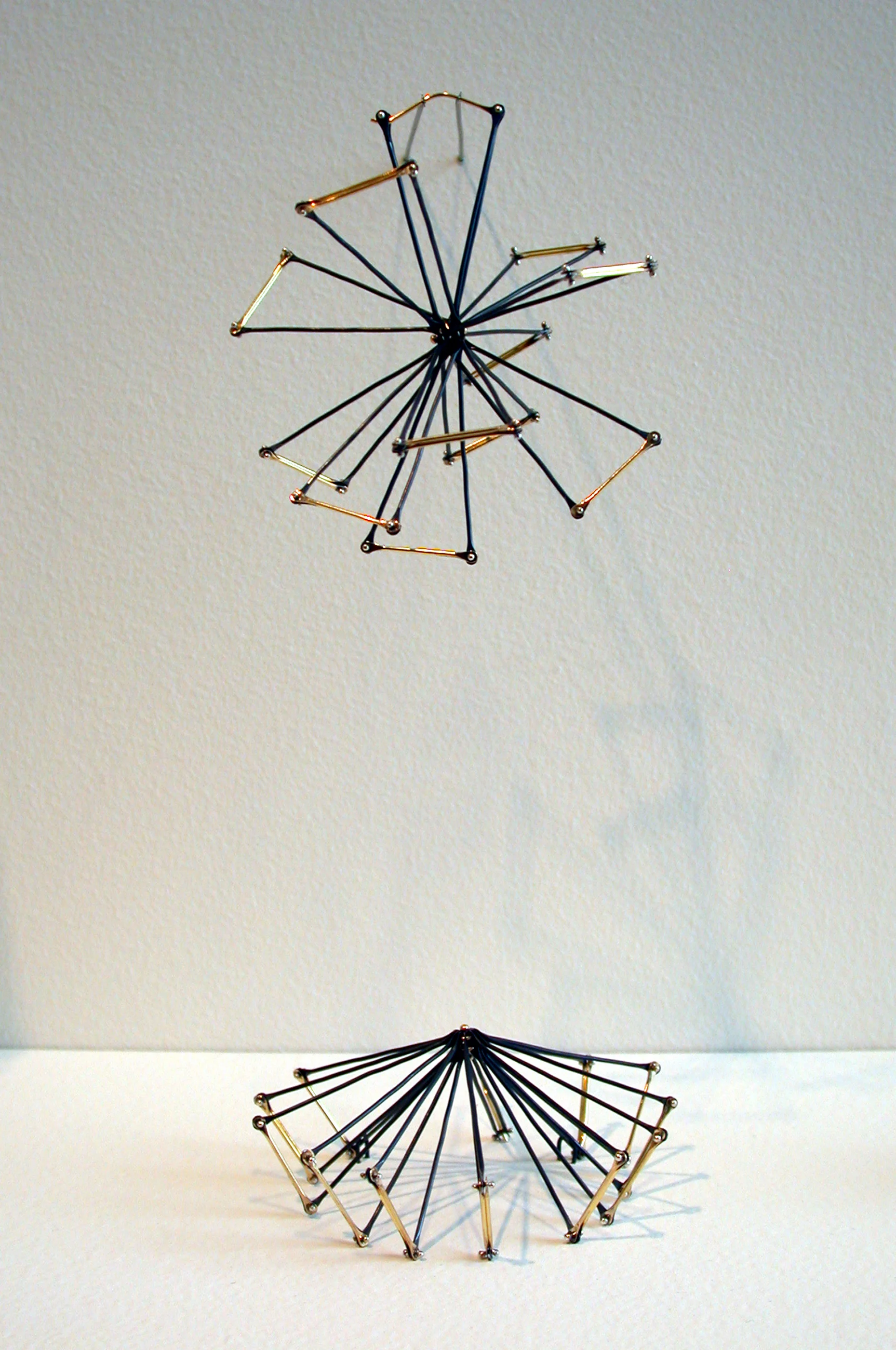An Earring Succumbs - pair