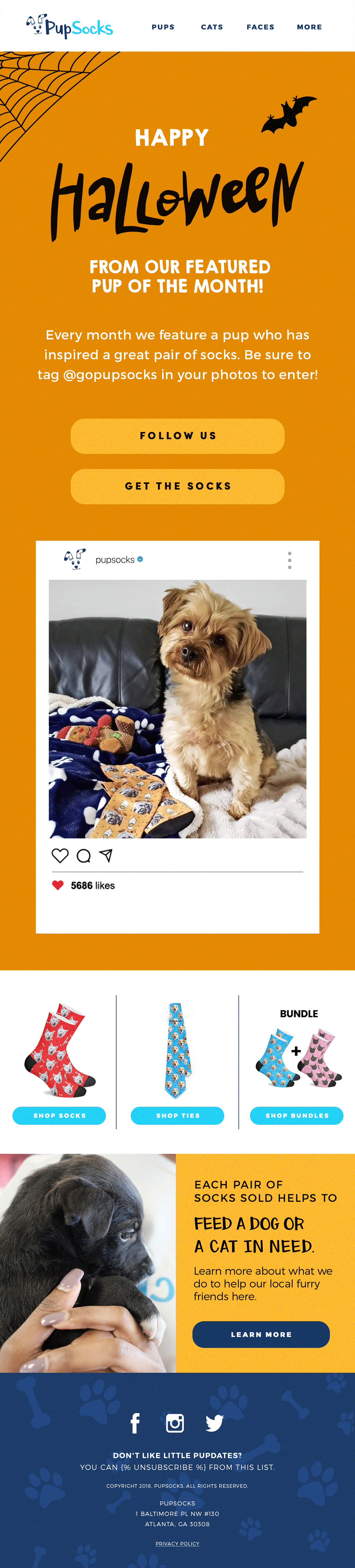 Pupsocks---10.31.19_FeaturedPet.gif