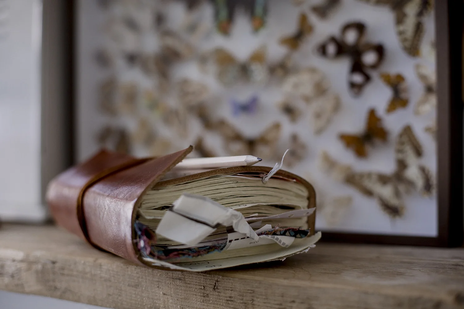 kidzlife testimonials header.jpg