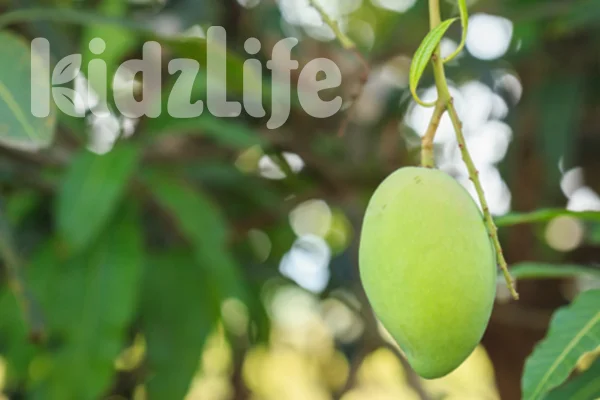 What to Do with that Situation You Can’t Seem to Get Over