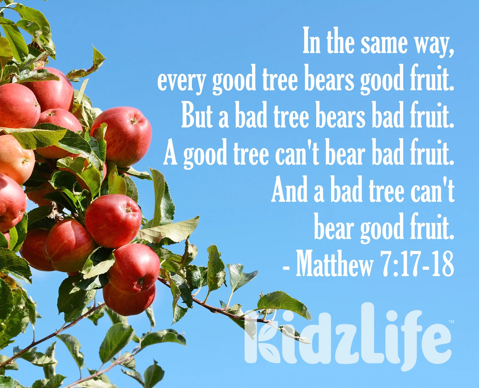 Sermon Verse 21.jpg