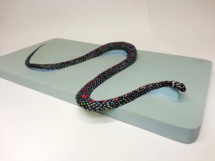 Paradise Flying Snake, Bio-Mechanics Exhibit