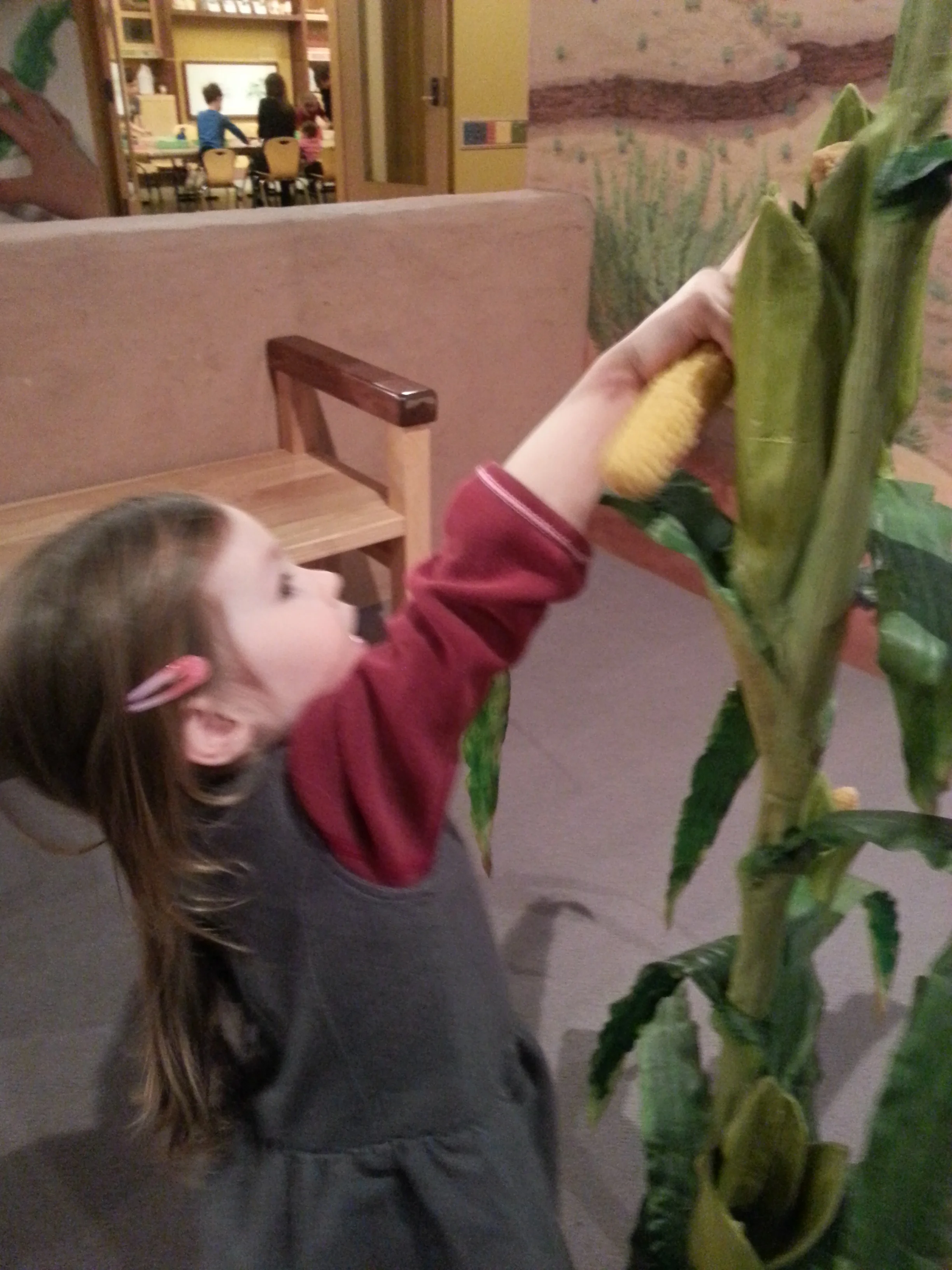 Playing with Cornstalks 2