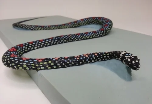 Paradise Flying Snake