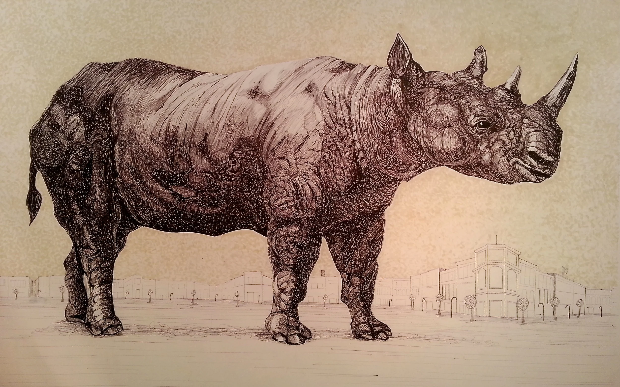 Rhino Drawing.jpg