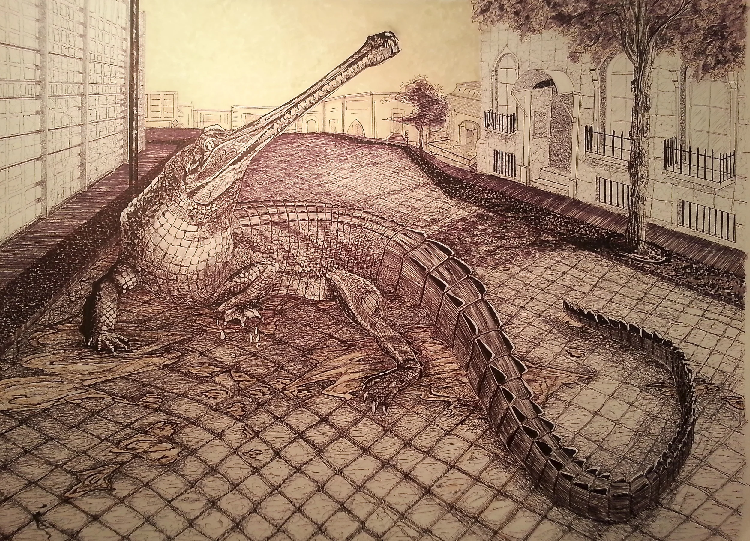 Gator Drawing.jpg