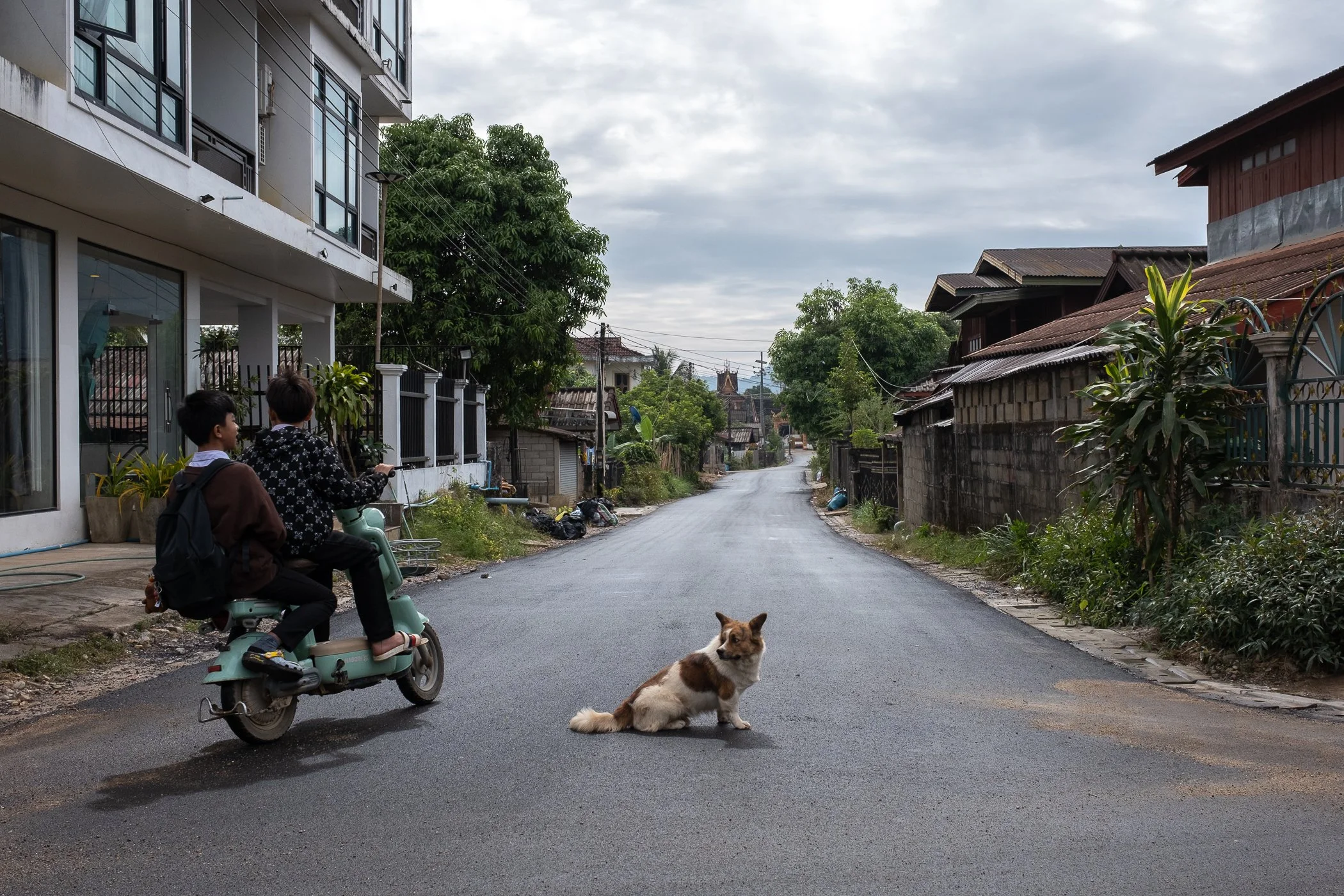 251211_Laos 2025__DSF2173.jpg