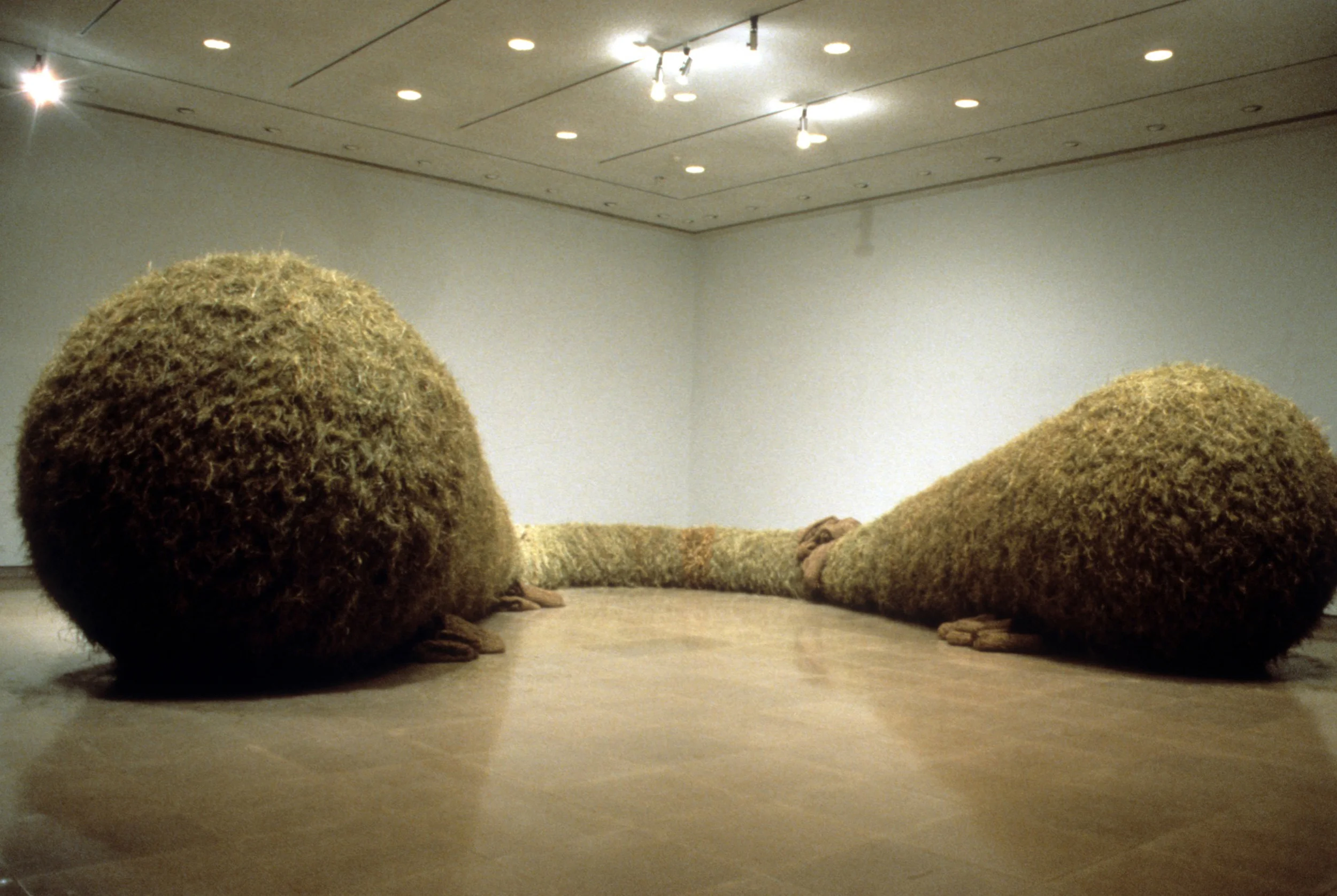 Michael Shaughnessy