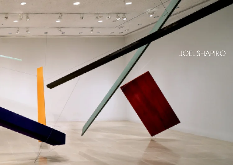 Joel Shapiro
