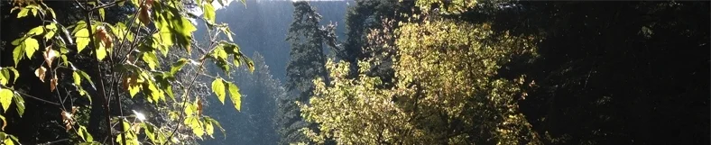 contrast_mountain.jpg