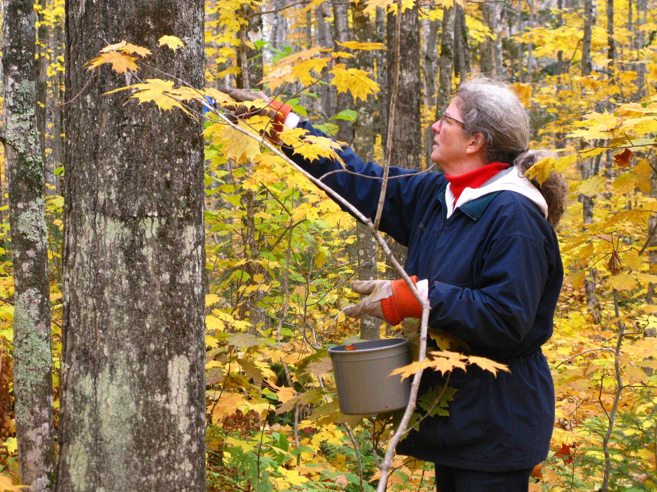 Trail Blazing In October
