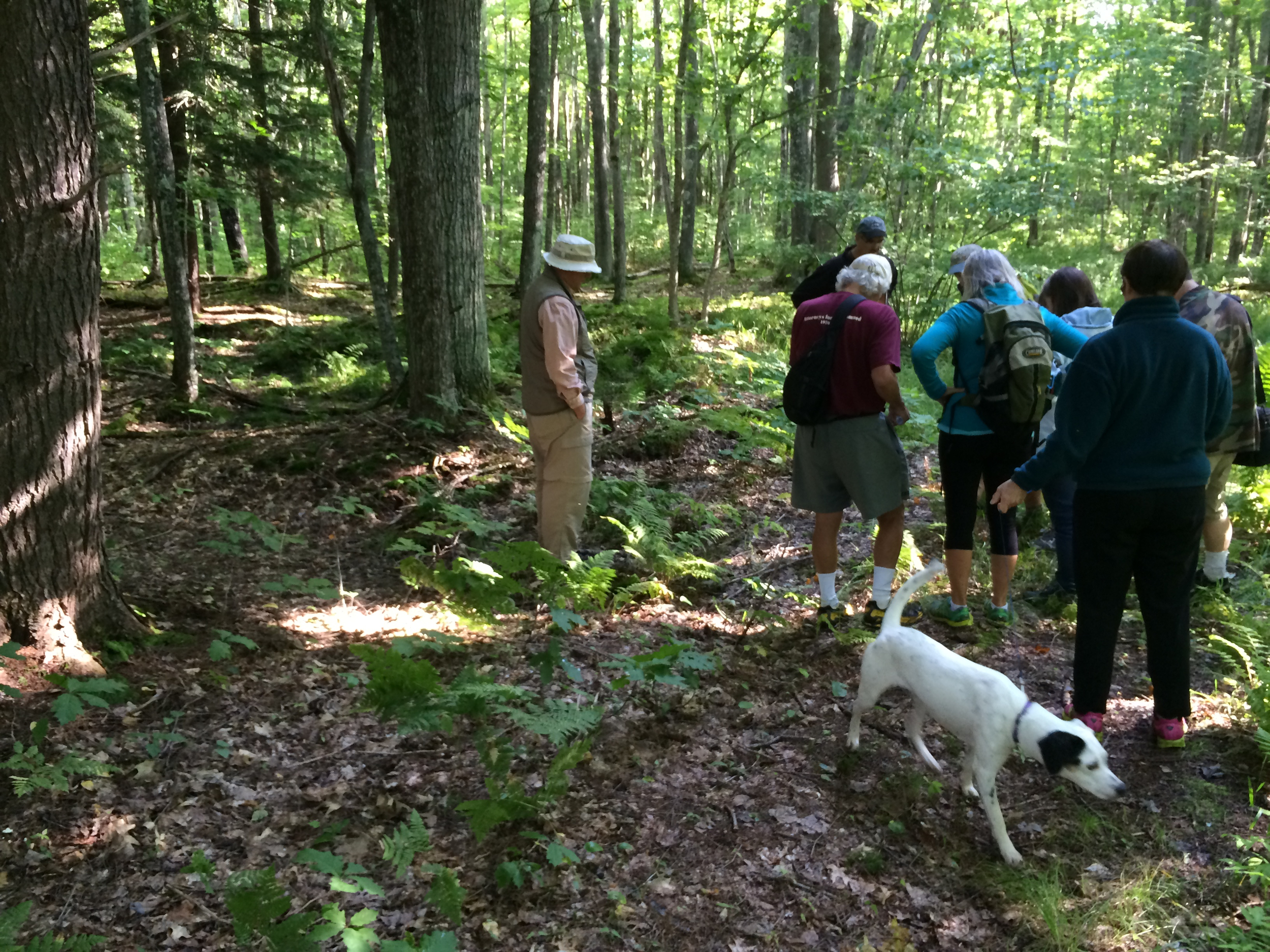 A Guided Hike on the North End Trails