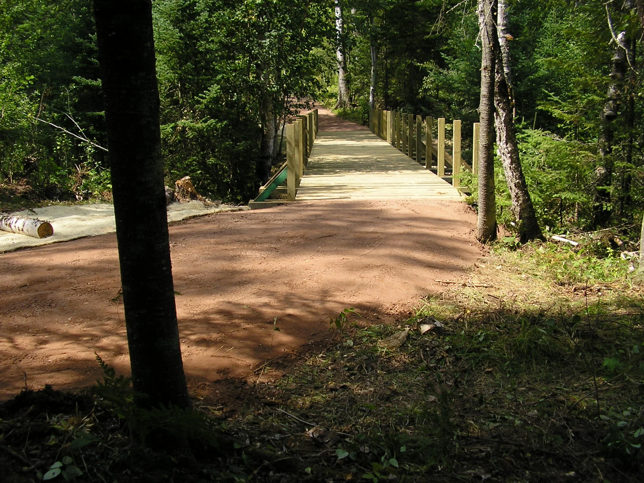 Yes, We Do Need Your Continued Support!