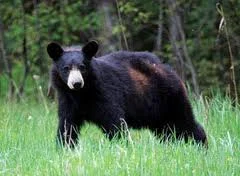 Summer 2014 Programs