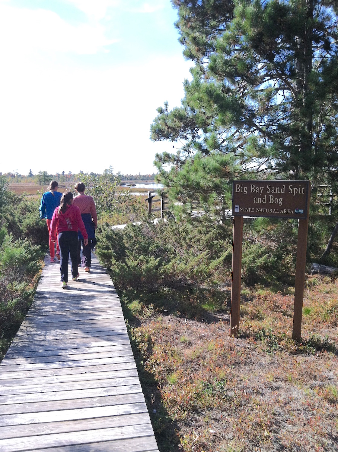 Summer 2015 Programs