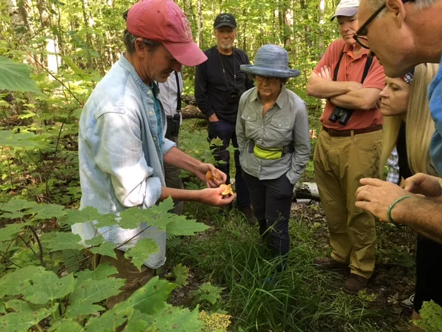Pictures from Hike: The Phenology of Mammals, Birds and other Creatures of the North Country