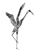 Dancing Crane left.png